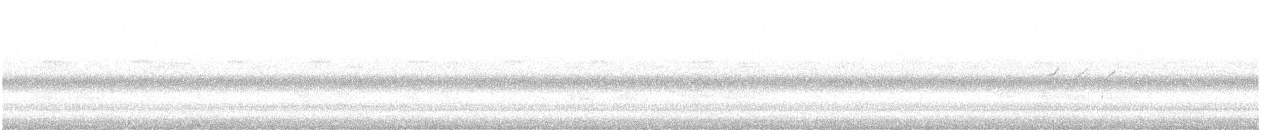 コシグロクサシギ（solitaria） - ML475254521
