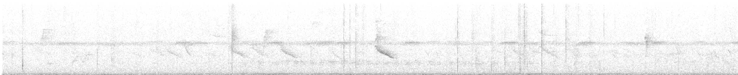 Comoro Cuckooshrike - ML475272191