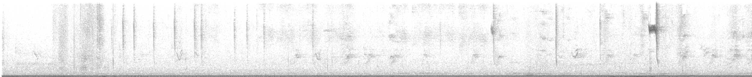 Алленов колибри - ML475283701