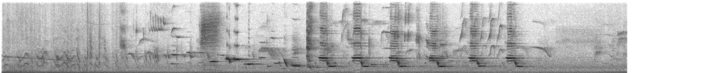 Méliphage tui - ML475334411