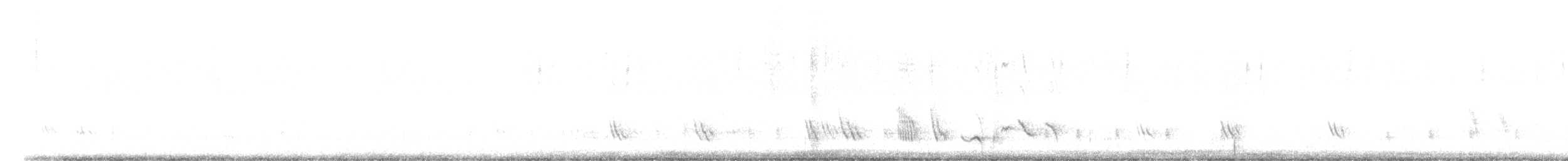 ムラサキツバメ（hesperia） - ML475349841