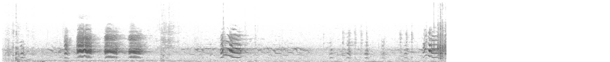 arara patagonský - ML475351481