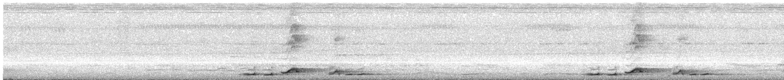 Тимелія-криводзьоб велика - ML475372681
