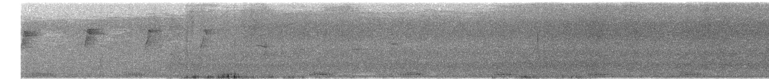 Сейшельская совка - ML475379561