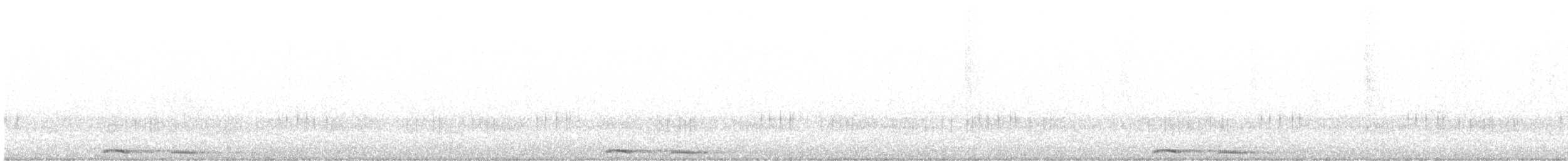 Сова-голконіг австралійська - ML475398381