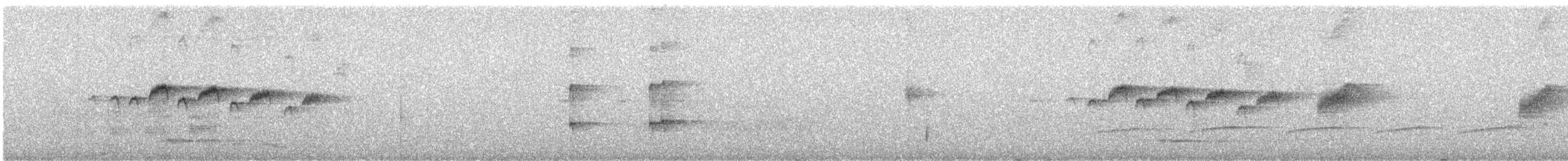 Beyaz Gerdanlı Karıncakuşu - ML475410991