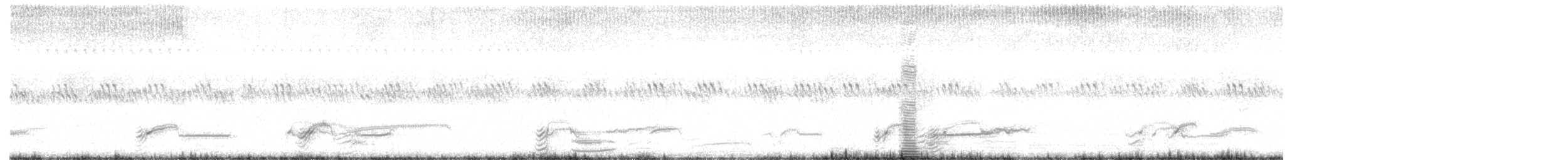 Sharp-tailed Grouse - ML475428991