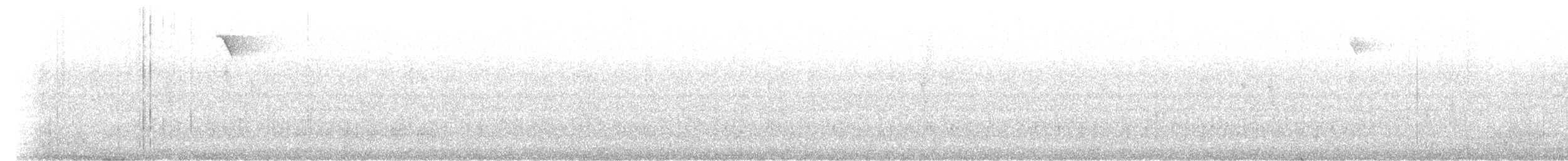 Zorzal de Ceilán - ML475477241