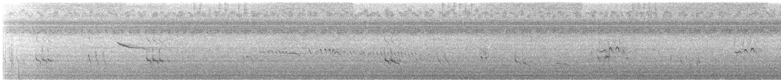 Short-billed Dowitcher - ML475507891