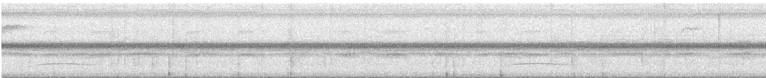 mørkhettetyrann (lawrenceii gr.) - ML475537491