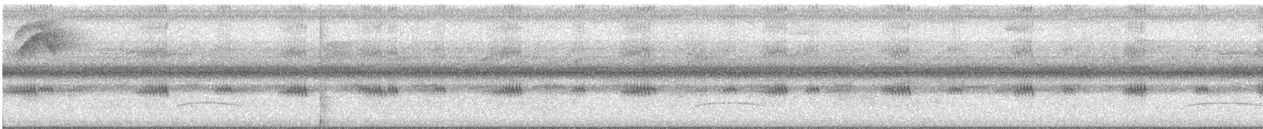 mørkhettetyrann (lawrenceii gr.) - ML475538711