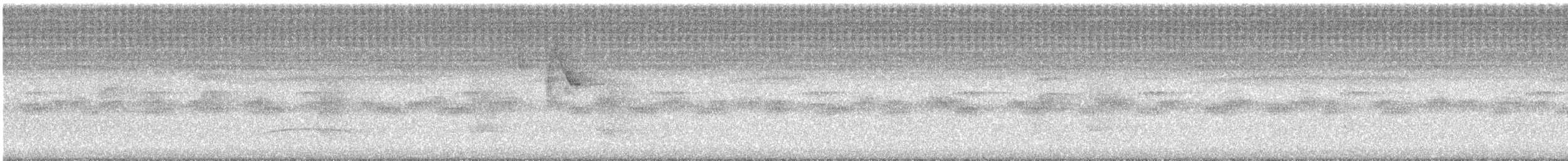 Copetón Capirotado (lawrenceii) - ML475539761