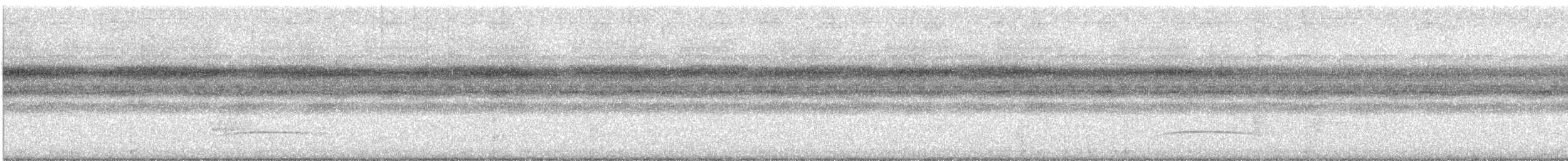 mørkhettetyrann (lawrenceii gr.) - ML475541321