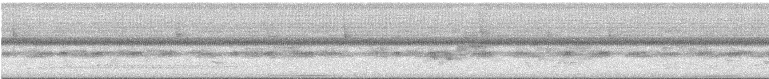 holub bledočelý - ML475543151