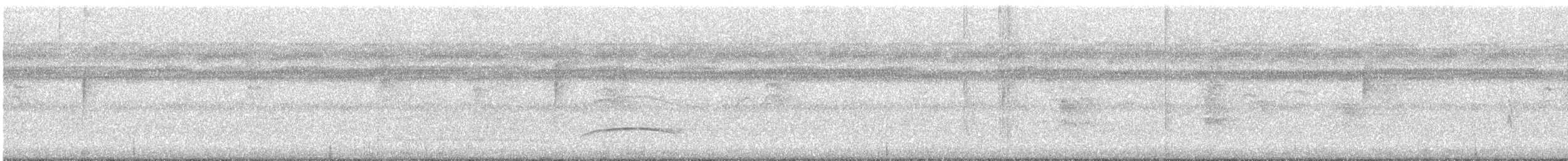 mørkhettetyrann (lawrenceii gr.) - ML475546061