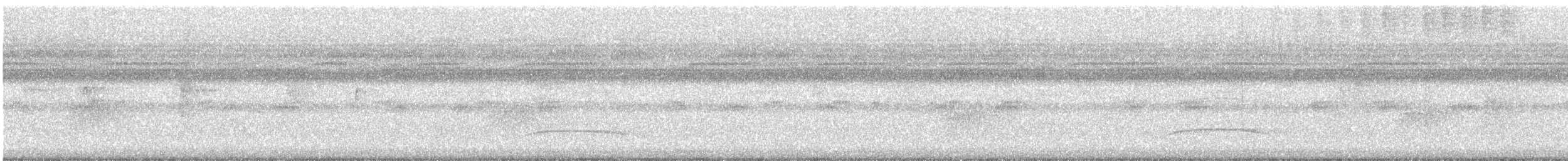 mørkhettetyrann (lawrenceii gr.) - ML475546111