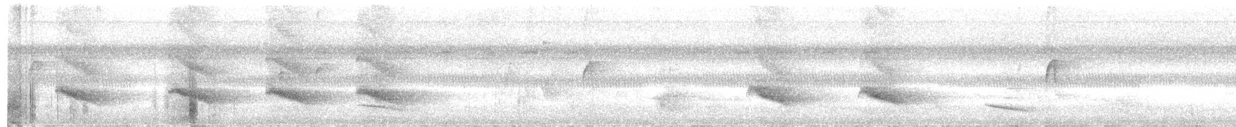 Plain-winged Antshrike - ML475562691