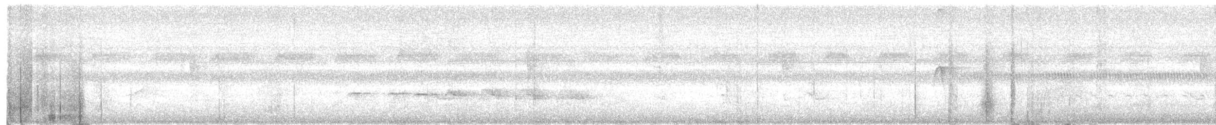 Peruvian Warbling-Antbird - ML475562721