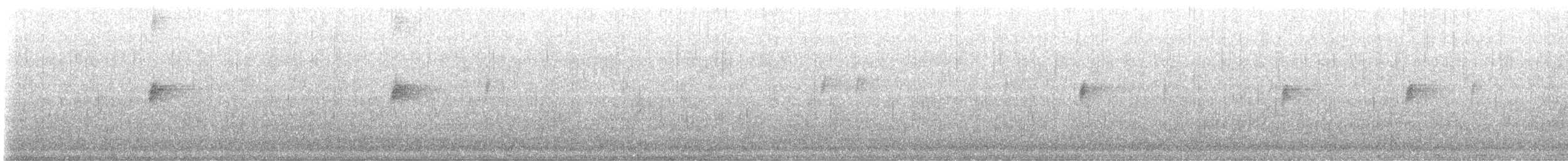 White-throated Dipper - ML475573621