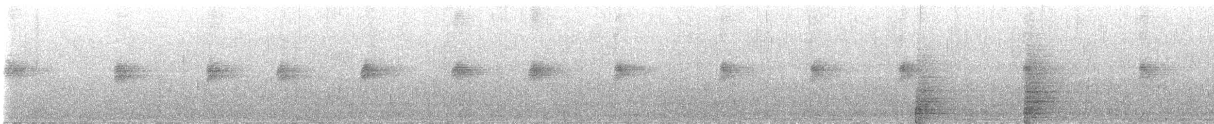 White-throated Dipper - ML475573691