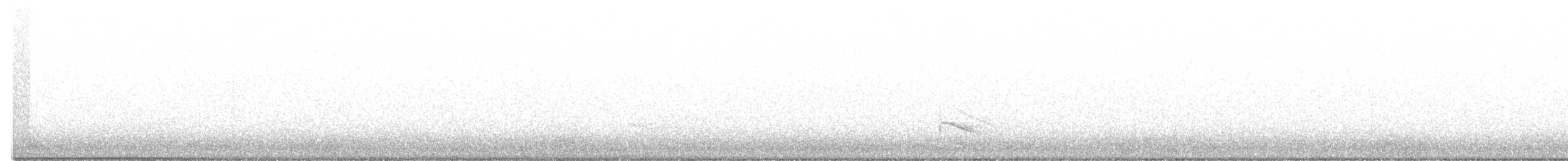 Австралийский совиный козодой - ML475603251