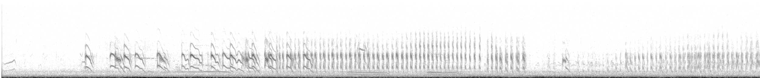 ארנריה אדמונית - ML475629661