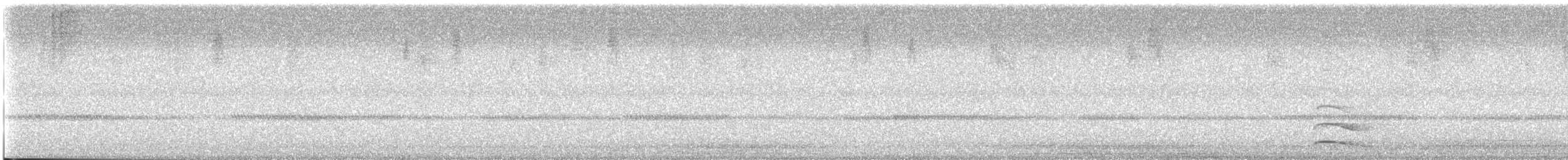 Little Owl - ML475707641
