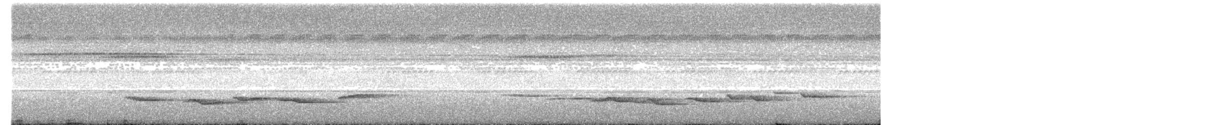 Gray-headed Babbler - ML475708281
