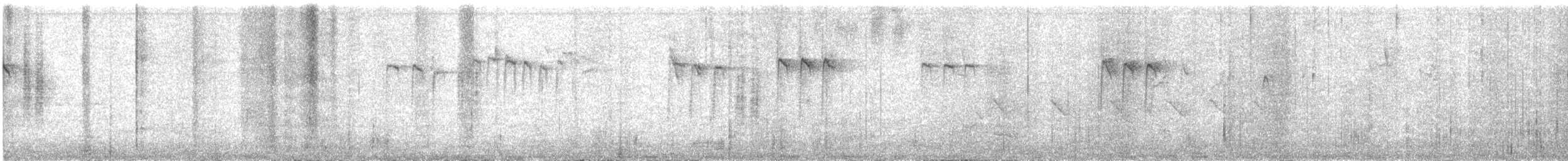 ruststjertmeis (bonvaloti/obscuratus) (skjeggstjertmeis) - ML475734471