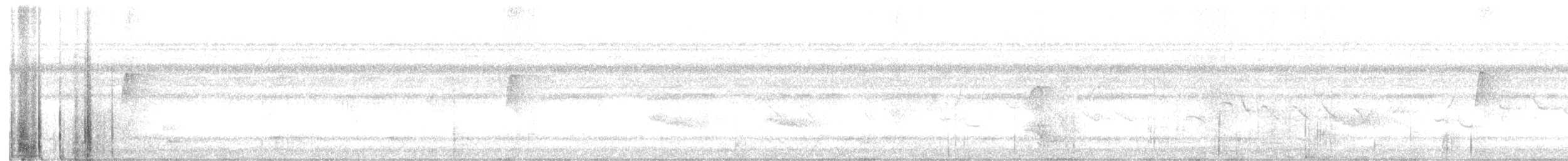 new world flycatcher sp. - ML475749021