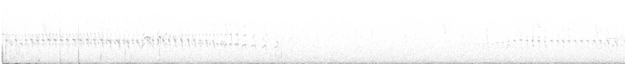 Серпокрилець білочеревий - ML475806661