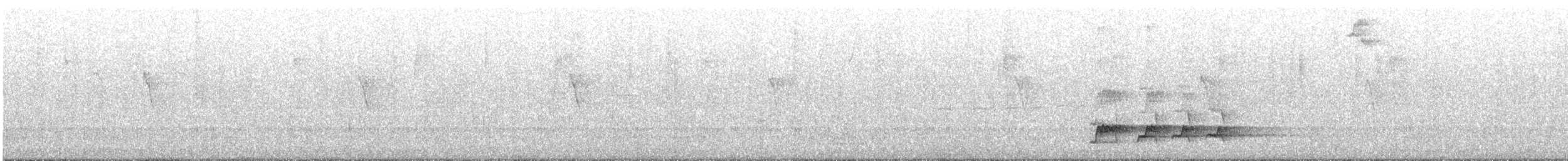 Brown Tinamou - ML475822031