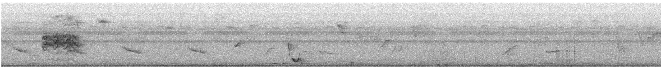 White-eared Jacamar - ML475849191