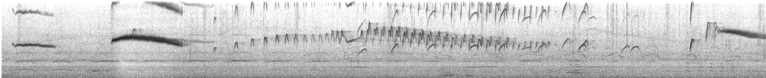 Taubenteiste - ML475896971