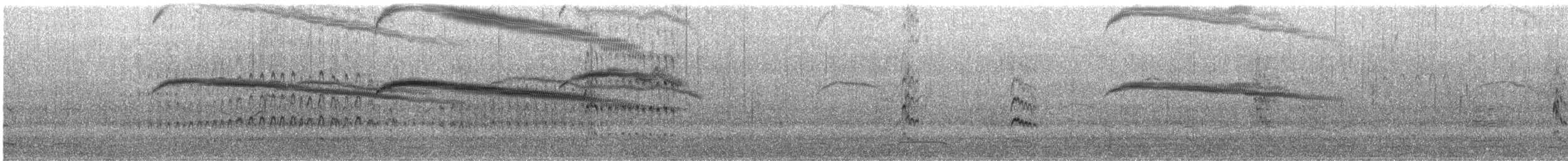 alkoun holubí - ML475897021