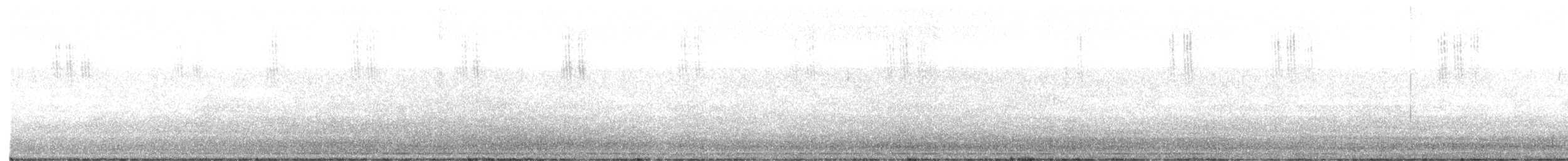 Юнко сірий (підвид aikeni) - ML475901581