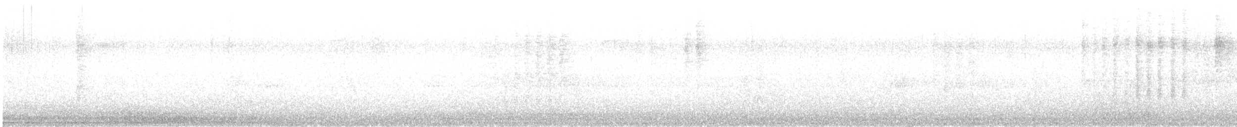 Белокрылый трупиал - ML475904911