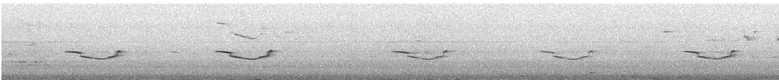 Breitspiegel-Nachtschwalbe - ML475944291