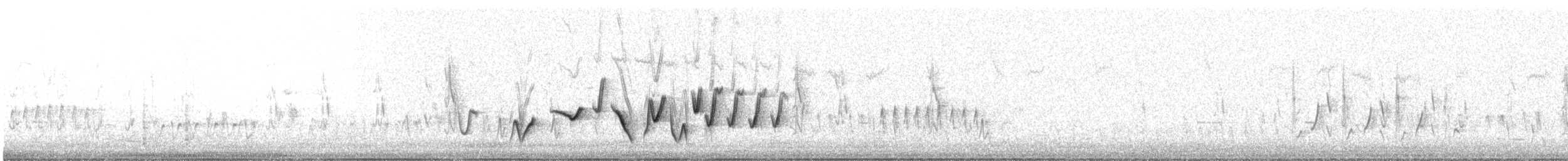 Schlichtmantel-Dickkopf - ML475983671