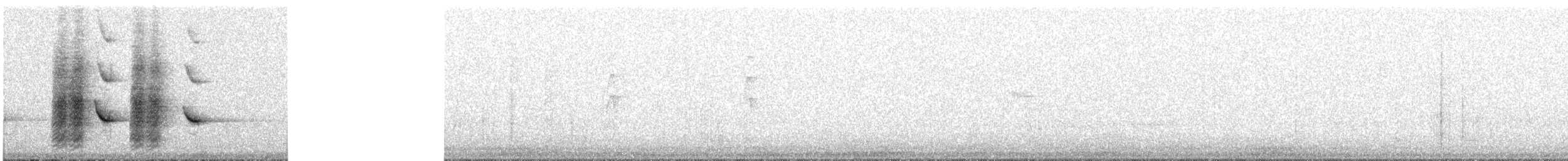 Glanzfleckdrongo - ML475983781
