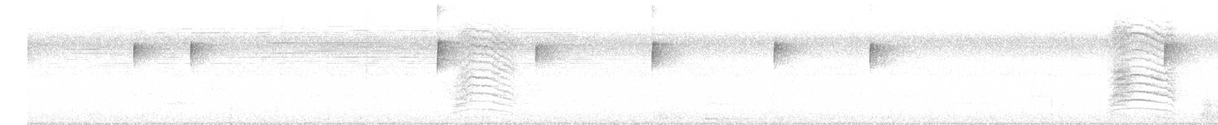 Пересмішник сірий - ML476021461