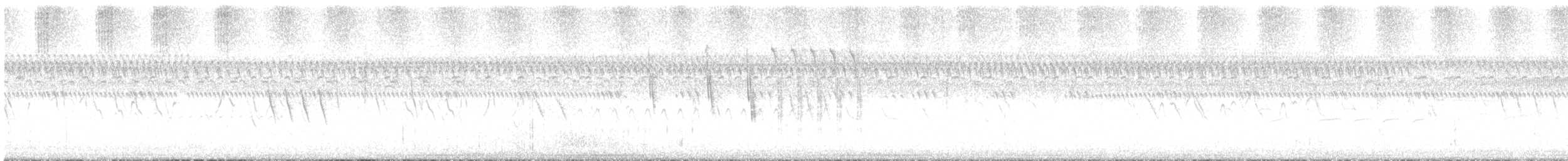 Troglodyte à bec court - ML476047491