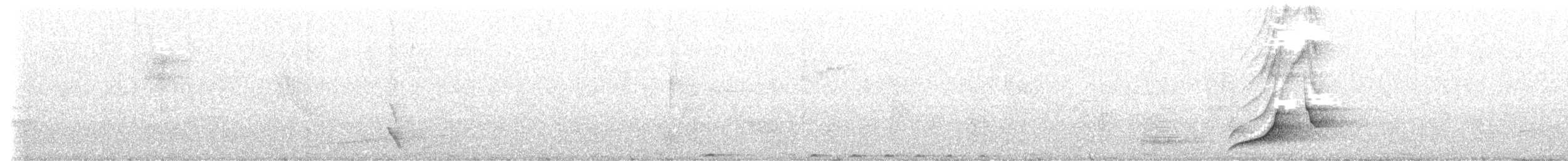 holub smaragdový - ML476102981