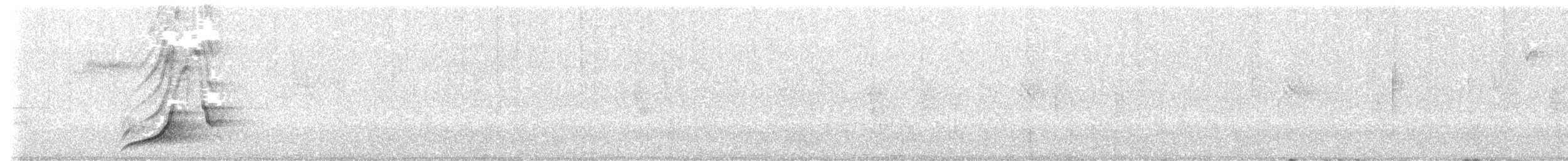 holub smaragdový - ML476108031