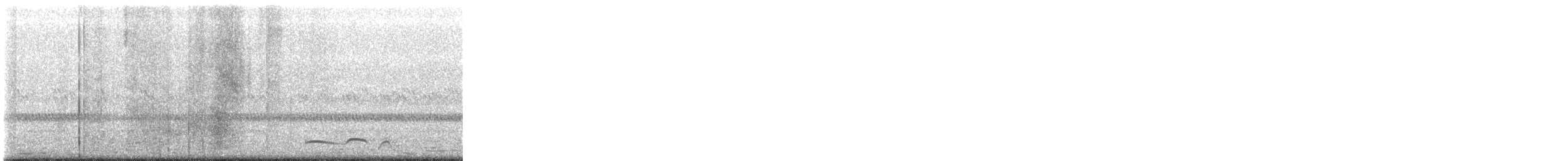 Common Poorwill - ML476148461