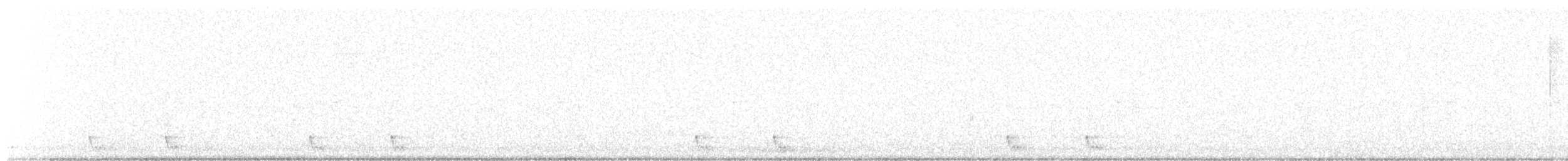 Large-tailed Nightjar - ML476181621