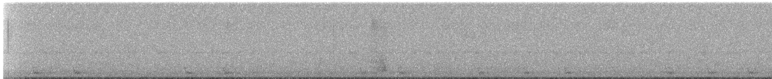 Large-tailed Nightjar - ML476183111