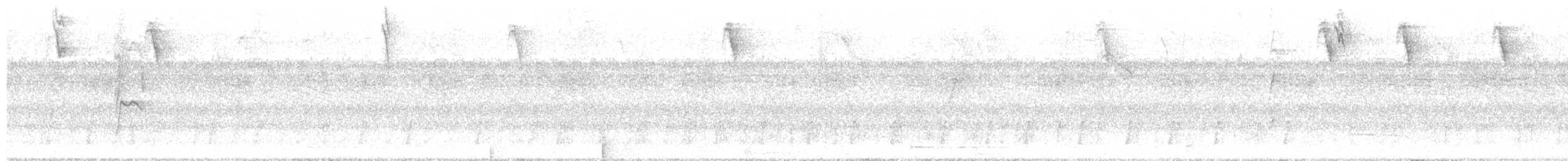 Restinga Tyrannulet - ML47626601