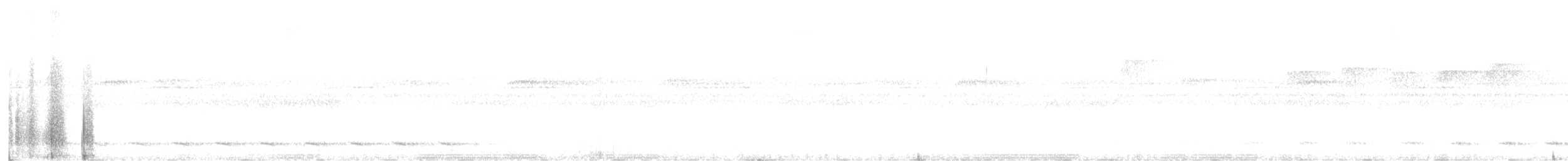 Trogon à queue blanche - ML476311311