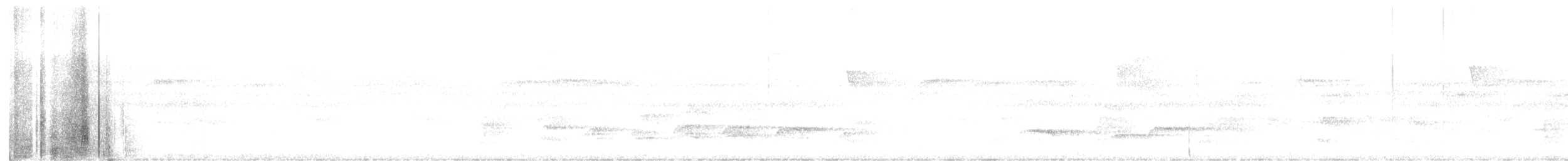 White-flanked Antwren - ML476311771